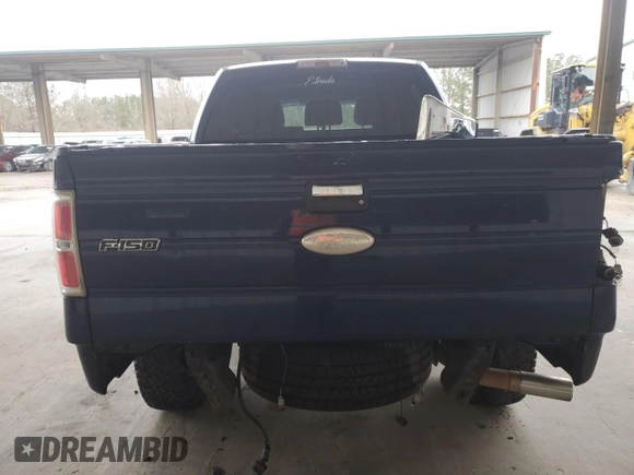 2011 Ford F-150 XLT with VIN 1FTFW1ET2BFB81443, listed as a Copart auction lot 46299165 with 250,287 mi miles and Salvage Title. Bid and sale history available at carsss.com. Image 6.