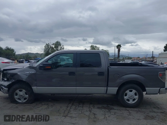 2010 Ford F-150 XL with VIN 1FTEW1C87AKB05460, listed as a IAAI auction lot 41734786 with 198,395 mi miles. Bid and sale history available at carsss.com. Image 15.