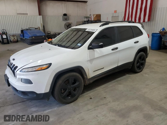 2017 Jeep Cherokee Sport with VIN 1C4PJLAB0HW669407, listed as a Copart auction lot 49335905 with 168,743 mi miles and Salvage Title. Bid and sale history available at carsss.com. Image 1.