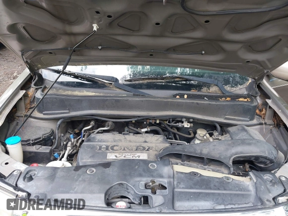2009 Honda Pilot EX with VIN 5FNYF48409B041002, listed as a IAAI auction lot 42252034 with 116,938 mi miles and . Bid and sale history available at DreamBid. Image 10.