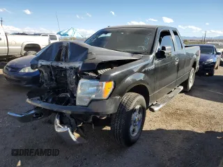 2010 Ford F-150 XL with VIN 1FTFX1CV0AFA85214, listed as a Copart auction lot 40868584 with 0 mi miles and Salvage Title. Bid and sale history available at carsss.com. Image 1.