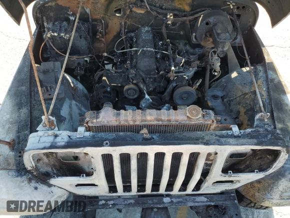 1995 Jeep Wrangler S with VIN 1J4FY19P8SP274074, listed as a Copart auction lot 74381094 with 0 mi miles and Salvage Title. Bid and sale history available at carsss.com. Image 11.