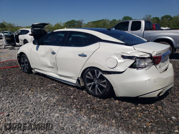 2017 Nissan Maxima SV with VIN 1N4AA6AP7HC436151, listed as a Copart auction lot 52362995 with 125,343 mi miles and Salvage Title. Bid and sale history available at carsss.com. Image 2.