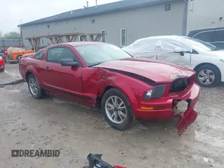 2005 Ford Mustang Deluxe with VIN 1ZVFT80N255172159, listed as a IAAI auction lot 42091872 with 129,513 mi miles and . Bid and sale history available at DreamBid. Image 1.