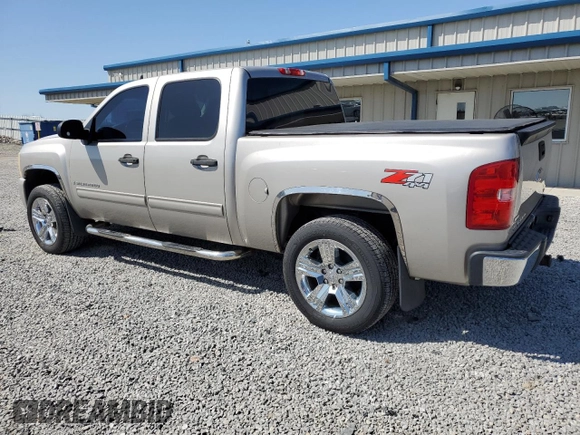 2009 Chevrolet Silverado 1500 LT with VIN 3GCEK23349G126775, listed as a Copart auction lot 51908085 with 139,463 mi miles and Salvage Title. Bid and sale history available at DreamBid. Image 2.
