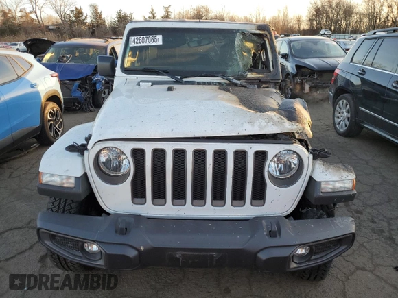 2021 Jeep Wrangler Sport S with VIN 1C4GJXAN6MW741870, listed as a Copart auction lot 42607065 with Not Provided miles and Salvage Title. Bid and sale history available at DreamBid. Image 5.