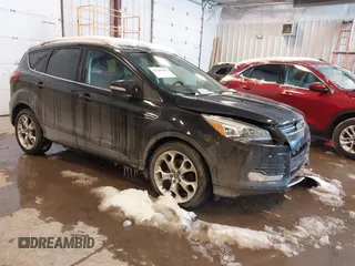 2014 Ford Escape Titanium with VIN 1FMCU9J91EUB77574, listed as a IAAI auction lot 41589485 with 188,913 mi miles and . Bid and sale history available at DreamBid. Image 1.
