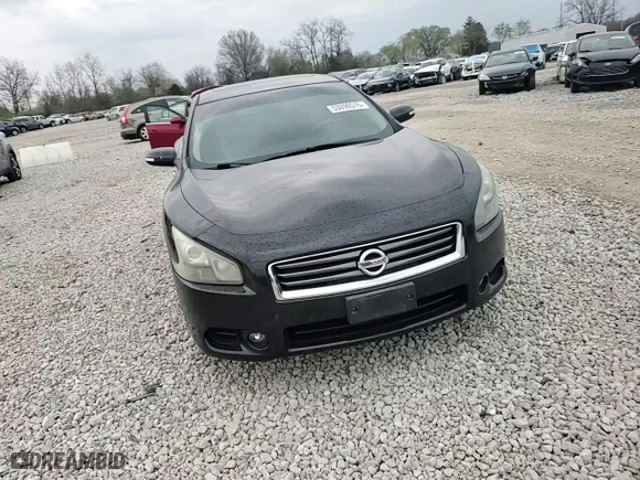 2013 Nissan Maxima 3.5 SV w/Sport Pkg with VIN 1N4AA5AP3DC827298, listed as a Copart auction lot 53090515 with 125,706 mi miles and Salvage Title. Bid and sale history available at carsss.com. Image 11.