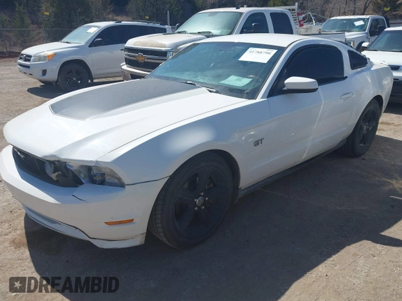 2010 Ford Mustang GT with VIN 1ZVBP8CH4A5158878, listed as a IAAI auction lot 41788790 with 133,892 mi miles and . Bid and sale history available at DreamBid. Image 17.