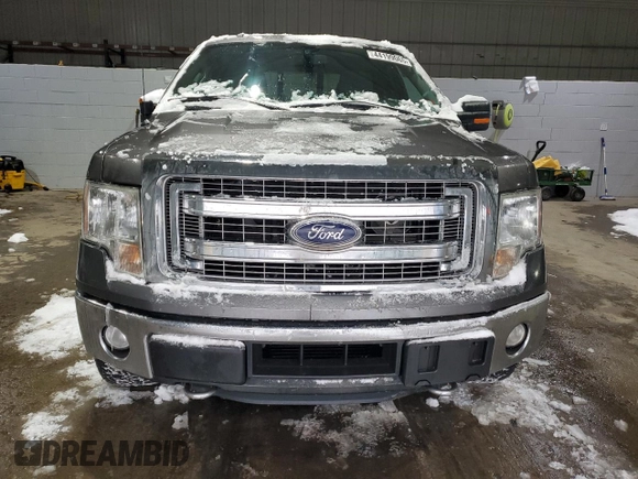 2014 Ford F-150 XL with VIN 1FTFX1ET5EKF41992, listed as a Copart auction lot 44199065 with 101,333 mi miles and Salvage Title. Bid and sale history available at carsss.com. Image 5.