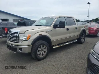 2010 Ford F-150 XL with VIN 1FTEW1E88AFD58115, listed as a Copart auction lot 62996725 with 179,894 mi miles and Clean title. Bid and sale history available at DreamBid. Image 1.