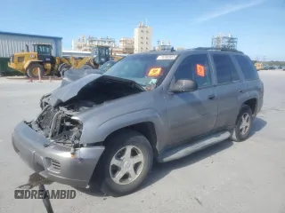2006 Chevrolet TrailBlazer LS with VIN 1GNDS13S862263632, listed as a Copart auction lot 82310743 with Not Provided miles and Salvage Title. Bid and sale history available at DreamBid. Image 1.