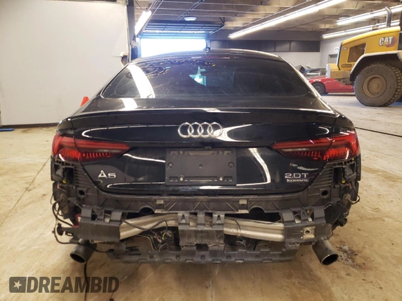 2018 Audi A5 Sportback Prestige with VIN WAUCNCF54JA099899, listed as a Copart auction lot 39530573 with 124,077 mi miles. Bid and sale history available at carsss.com. Image 6.