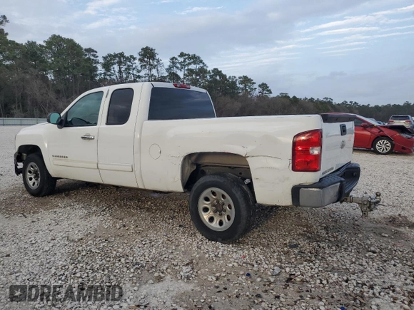 2010 Chevrolet Silverado 1500 LS with VIN 1GCSCREA9AZ272646, listed as a Copart auction lot 48374965 with 290,276 mi miles and Salvage Title. Bid and sale history available at carsss.com. Image 2.