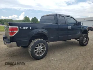 2009 Ford F-150 XL with VIN 1FTPX14V09FA78746, listed as a Copart auction lot 64223905 with 228,763 mi miles and Clean title. Bid and sale history available at DreamBid. Image 3.