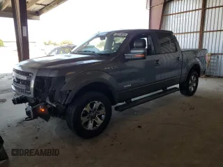 2013 Ford F-150 XL with VIN 1FTFW1ET6DKF80205, listed as a Copart auction lot 62275075 with 177,017 mi miles and Salvage title. Bid and sale history available at DreamBid. Image 1.