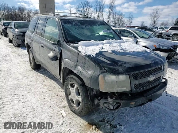 2008 Chevrolet TrailBlazer 1LT with VIN 1GNDT13S782123152, listed as a Copart auction lot 45971355 with 229,630 mi miles and Salvage Title. Bid and sale history available at DreamBid. Image 12.
