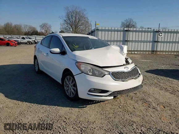 2014 Kia Forte EX with VIN KNAFX4A88E5051951, listed as a Copart auction lot 46522115 with Not Provided miles and Salvage Title. Bid and sale history available at carsss.com. Image 10.