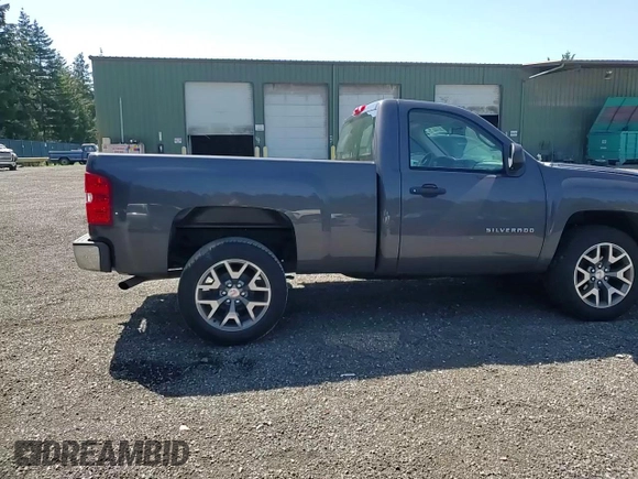 2010 Chevrolet Silverado 1500 Work Truck with VIN 1GCPCPEX1AZ202279, listed as a Copart auction lot 55144475 with 74,977 mi miles and Salvage Title. Bid and sale history available at DreamBid. Image 14.