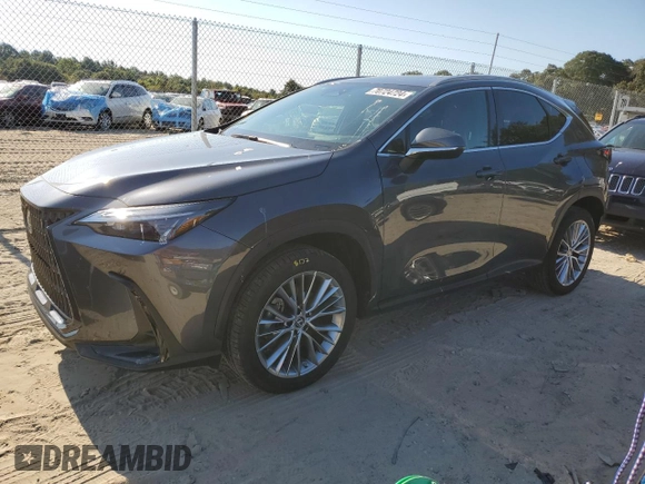 2022 Lexus NX with VIN 2T2GKCEZ1NC008182, listed as a Copart auction lot 70724724 with 22,046 mi miles and Salvage Title. Bid and sale history available at carsss.com. Image 1.