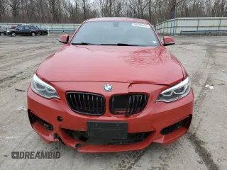 2014 BMW 2 Series 228i with VIN WBA1F5C5XEVW97921, listed as a Copart auction lot 44850825 with 120,173 mi miles and Salvage title. Bid and sale history available at DreamBid. Image 5.
