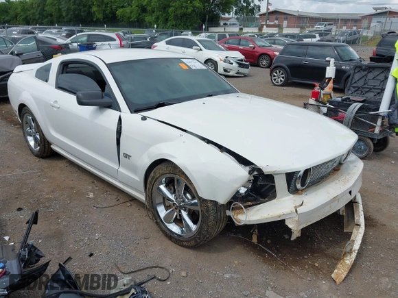 2008 Ford Mustang GT Deluxe с VIN 1ZVHT82H185196893, выставлен на аукционе IAAI как лот 42497243 с пробегом Не указан миль и . История ставок и продаж доступна на DreamBid. Изображение 1.