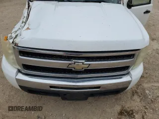 2009 Chevrolet Silverado 1500 LT with VIN 3GCEC23C99G109242, listed as a Copart auction lot 45312595 with 166,422 mi miles and Non Repairable. Bid and sale history available at DreamBid. Image 12.