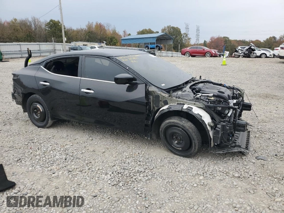 2020 Nissan Maxima S with VIN 1N4AA6BV9LC385841, listed as a Copart auction lot 80502284 with Not provided miles and Salvage title. Bid and sale history available at DreamBid. Image 4.