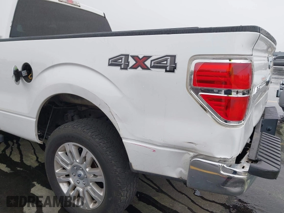 2013 Ford F-150 XL with VIN 1FTFW1EFXDFA99876, listed as a IAAI auction lot 41859370 with 248,683 mi miles and . Bid and sale history available at DreamBid. Image 19.