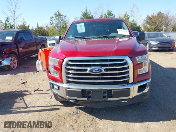 2017 Ford F-150 XL with VIN 1FTFX1EF3HFA22866, listed as a IAAI auction lot 41739336 with 176,669 mi miles. Bid and sale history available at carsss.com. Image 12.