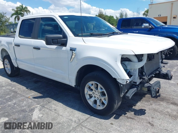 2023 Ford F-150 XL with VIN 1FTEW1C54PKD83361, listed as a IAAI auction lot 42236338 with 35,902 mi miles and . Bid and sale history available at DreamBid. Image 1.