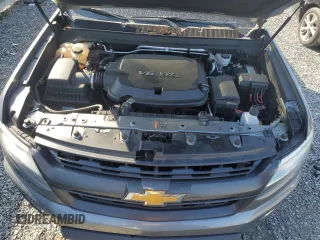 2020 Chevrolet Colorado 2WD Z71 with VIN 1GCGSDEN1L1170631, listed as a Copart auction lot 44032435 with 102,766 mi miles and Salvage title. Bid and sale history available at DreamBid. Image 11.