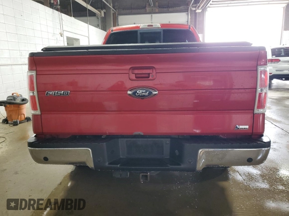 2010 Ford F-150 XL with VIN 1FTFX1EVXAFA21775, listed as a Copart auction lot 49798845 with 134,185 mi miles and Non Repairable. Bid and sale history available at carsss.com. Image 6.