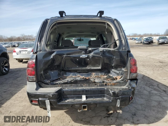 2006 Chevrolet TrailBlazer LS with VIN 1GNET16S966129413, listed as a Copart auction lot 48790285 with 265,822 mi miles and Salvage Title. Bid and sale history available at DreamBid. Image 6.
