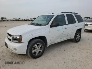2007 Chevrolet TrailBlazer LS with VIN 1GNDS13SX72225563, listed as a Copart auction lot 53538825 with 221,239 mi miles and Salvage Title. Bid and sale history available at DreamBid. Image 1.
