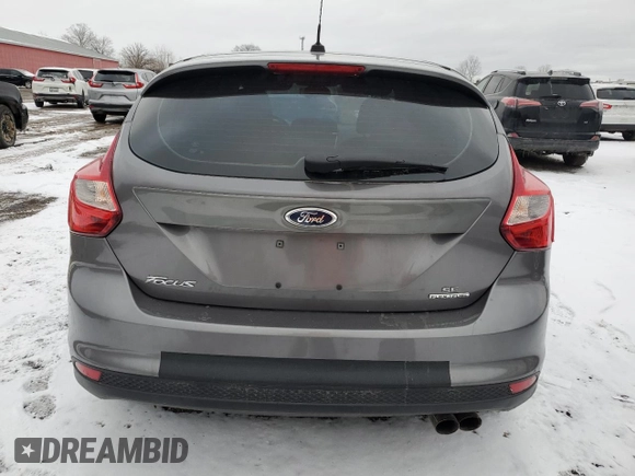 2014 Ford Focus SE with VIN 1FADP3K21EL394181, listed as a Copart auction lot 46388205 with 132,759 mi miles and Clean Title. Bid and sale history available at carsss.com. Image 6.