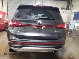 2023 Hyundai Santa Fe Limited with VIN 5NMS4DAL2PH485880, listed as a Copart auction lot 44610855 with 20,015 mi miles and Salvage Title. Bid and sale history available at carsss.com. Image 6.