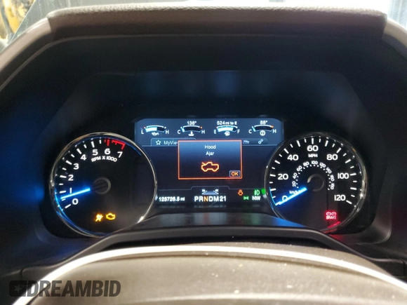 2016 Ford F-150 XLT with VIN 1FTEW1EG6GFA30417, listed as a Copart auction lot 62717765 with 125,726 mi miles and Salvage title. Bid and sale history available at DreamBid. Image 9.
