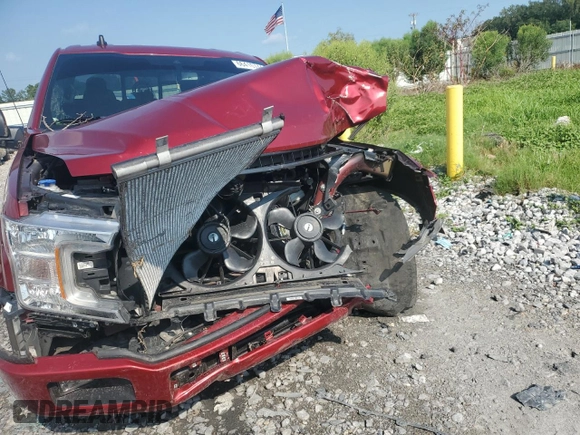 2019 Ford F-150 XL with VIN 1FTEW1C44KFD08541, listed as a Copart auction lot 66410744 with Not Provided miles and Salvage Title. Bid and sale history available at DreamBid. Image 5.