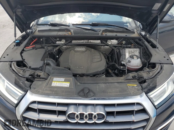 2019 Audi Q5 Premium with VIN WA1ANAFY2K2080444, listed as a Copart auction lot 61273195 with 52,942 mi miles and Salvage title. Bid and sale history available at DreamBid. Image 12.