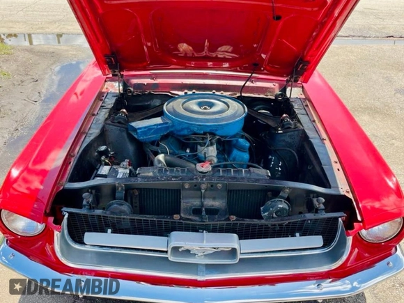 1967 Ford Mustang с VIN 7T03C190482, выставлен на аукционе Copart как лот 65656085 с пробегом 28 531 миль миль и Чистый • Clean title. История ставок и продаж доступна на DreamBid. Изображение 7.