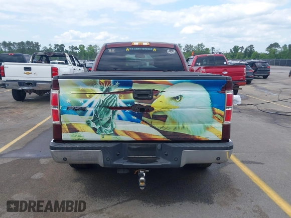 2010 Ford F-150 XL with VIN 1FTEX1C86AFC14756, listed as a IAAI auction lot 42147658 with 191,127 mi miles and . Bid and sale history available at DreamBid. Image 16.