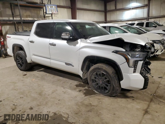 2022 Toyota Tundra 1794 Edition with VIN 5TFMA5DB0NX009609, listed as a Copart auction lot 86996704 with 79,697 mi miles and Salvage title. Bid and sale history available at DreamBid. Image 4.