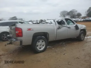 2009 Chevrolet Silverado 1500 with VIN 2GCEC23J191140301, listed as a Copart auction lot 45950505 with Not Provided miles and Non Repairable. Bid and sale history available at DreamBid. Image 3.
