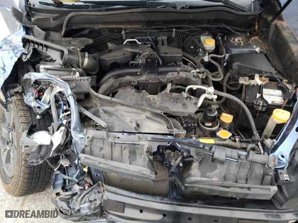 2017 Subaru Forester Premium with VIN JF2SJAGC3HH566812, listed as a Copart auction lot 81511514 with 0 mi miles and Salvage Title. Bid and sale history available at carsss.com. Image 13.