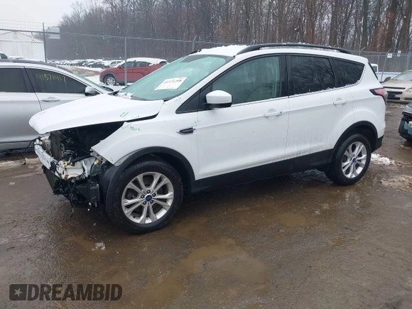 2018 Ford Escape SEL with VIN 1FMCU9HD9JUA69594, listed as a IAAI auction lot 41571208 with 124,193 mi miles. Bid and sale history available at carsss.com. Image 17.