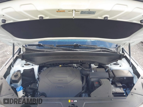 2020 Kia Telluride EX z VIN 5XYP3DHC0LG048043, wystawiony jako IAAI lot #42259706 z przebiegiem 55 363 mil mil oraz . Historia ofert i sprzedaży dostępna na DreamBid. Obrazek 10.