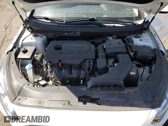 2019 Hyundai Sonata SE with VIN 5NPE24AF3KH789096, listed as a Copart auction lot 52119205 with 73,672 mi miles and Salvage Title. Bid and sale history available at carsss.com. Image 13.