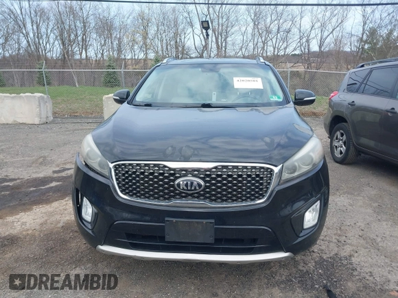 2016 Kia Sorento SX with VIN 5XYPKDA51GG073912, listed as a IAAI auction lot 42020501 with 172,836 mi miles. Bid and sale history available at carsss.com. Image 12.