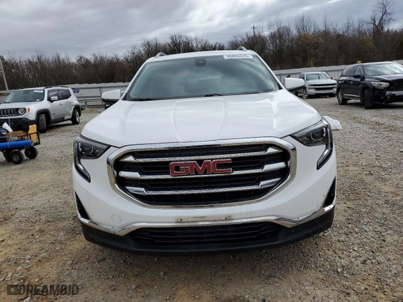 2020 GMC Terrain SLT with VIN 3GKALPEV8LL124005, listed as a Copart auction lot 46806245 with 124,270 mi miles and Salvage Title. Bid and sale history available at carsss.com. Image 5.